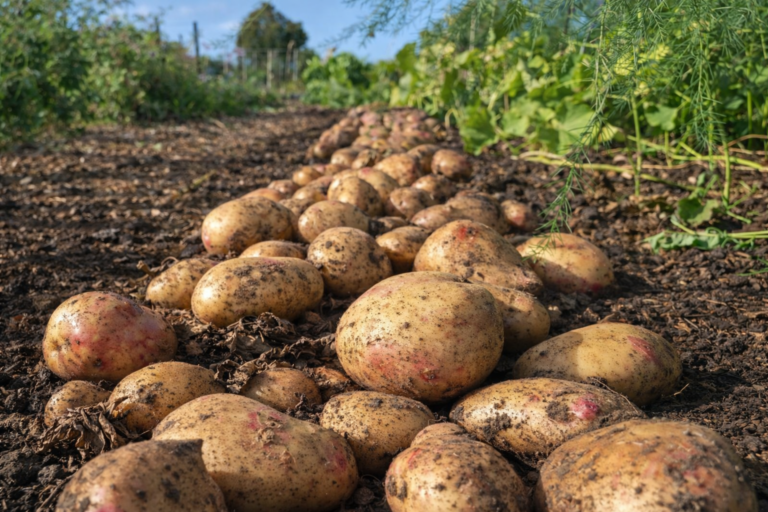 file_00000000026c720880a9e115e67a1b27