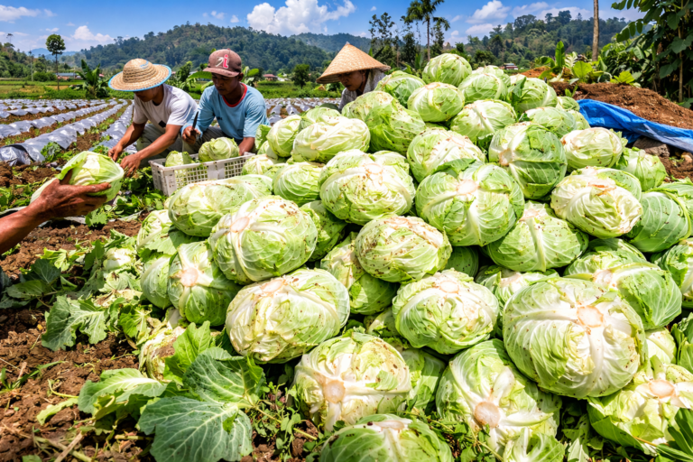 file_0000000006fc7208b0a67201effc7371