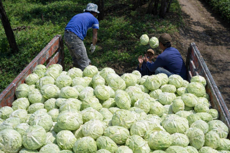 file_000000000cb47208a046294839f8098e