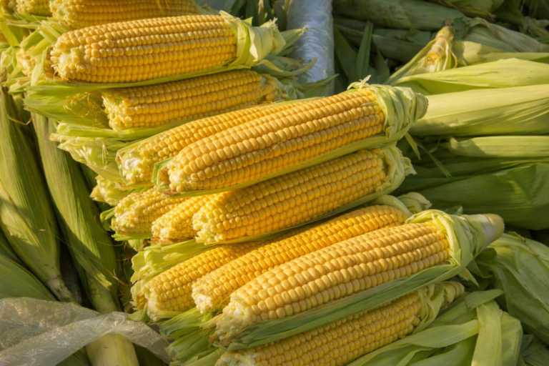 file_00000000bda07208b90211ebbdaf96b6