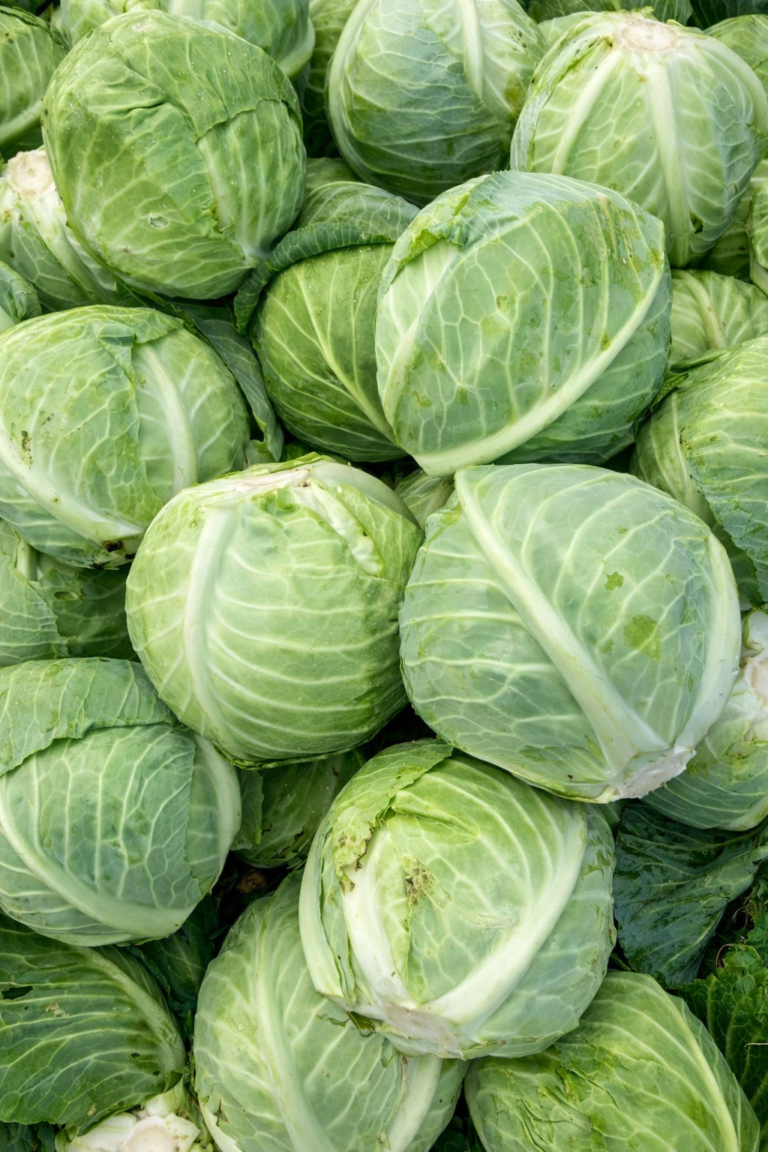 file_00000000dec8720888c885a69f0a2a67